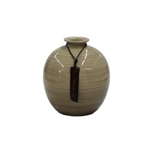 Vaso Moringa Salar