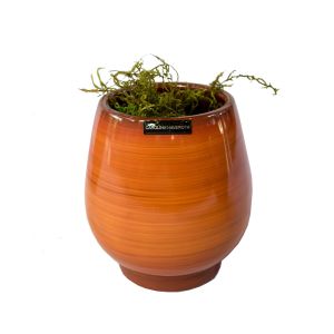 Vaso 693 P - Alto Brilho - Áruba - Carolina Haveroth