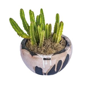 vaso decorativo
